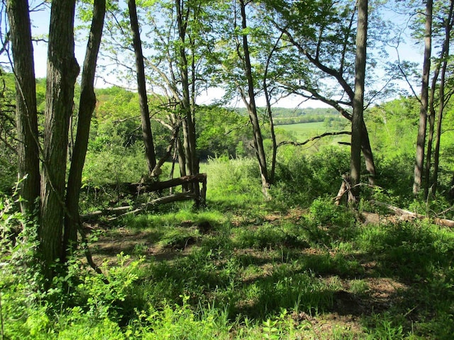 35AC County Rd W, Elroy, WI 53929