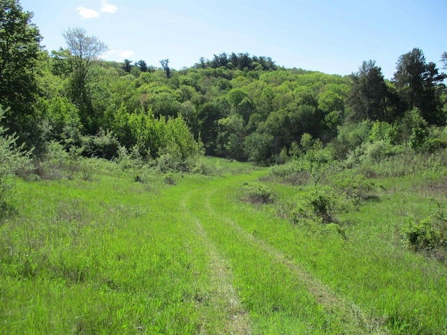 35AC County Rd W, Elroy, WI 53929