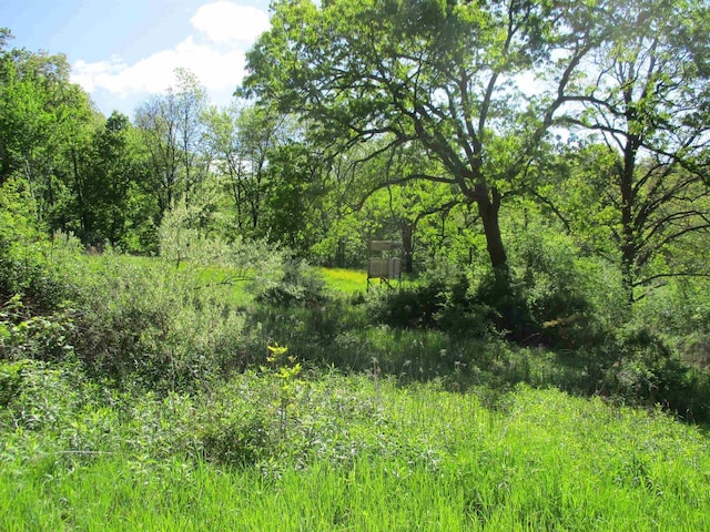 35AC County Rd W, Elroy, WI 53929