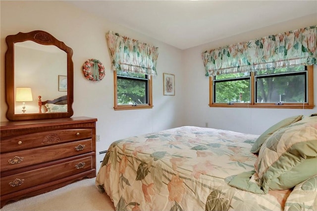 407 S Scott St, Elmwood, WI 54740 - bedroom with a baseboard radiator
