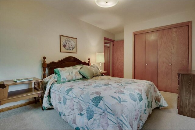 407 S Scott St, Elmwood, WI 54740 - bedroom with carpet floors and a closet
