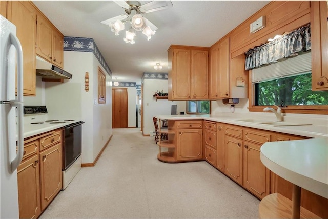 407 S Scott St, Elmwood, WI 54740 - kitchen featuring electric stove, under cabinet range hood, a sink, a ceiling fan, and freestanding refrigerator