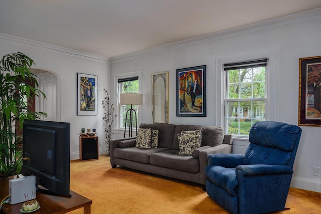 7312 5th Ave, Kenosha, WI 53143 - living area with ornamental molding, light carpet, arched walkways, and baseboards