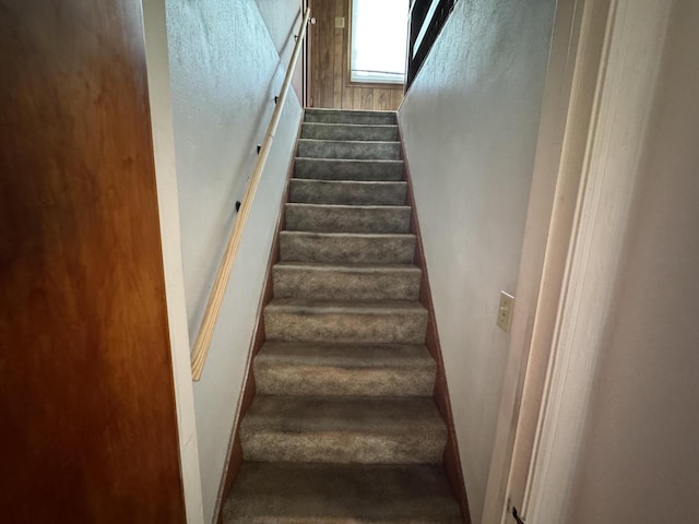 7715 18th Ave, Kenosha, WI 53143 - stairs featuring carpet floors