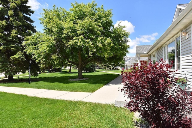 10320 W Whitnall Edge Cir Unit A, Franklin, WI 53132 - view of green lawn