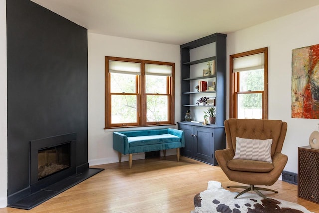 2707 Mason St, Madison, WI 53705 - living area with light wood-type flooring and a large fireplace
