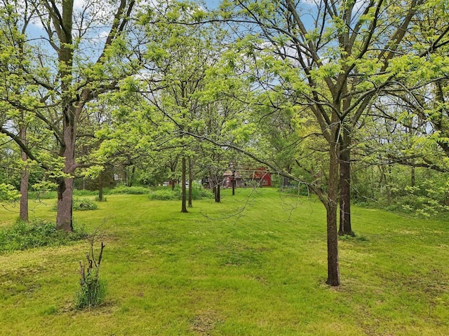 N62W23527 Sliver Spring Dr, Sussex, WI 53089 - view of grassy yard