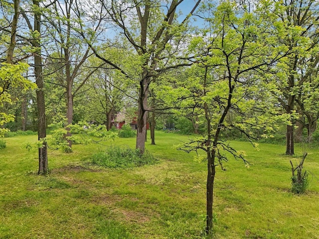 N62W23527 Sliver Spring Dr, Sussex, WI 53089 - view of grassy yard