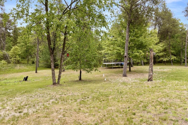 29774 Whispering Pines Rd, Lone Rock, WI 53556 - view of grassy yard featuring a trampoline