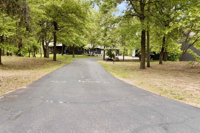 29774 Whispering Pines Rd, Lone Rock, WI 53556 - view of asphalt driveway