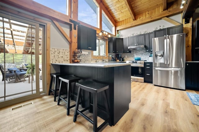 29774 Whispering Pines Rd, Lone Rock, WI 53556 - kitchen featuring appliances with stainless steel finishes, under cabinet range hood, wooden ceiling with exposed beams, dark cabinets, and light countertops