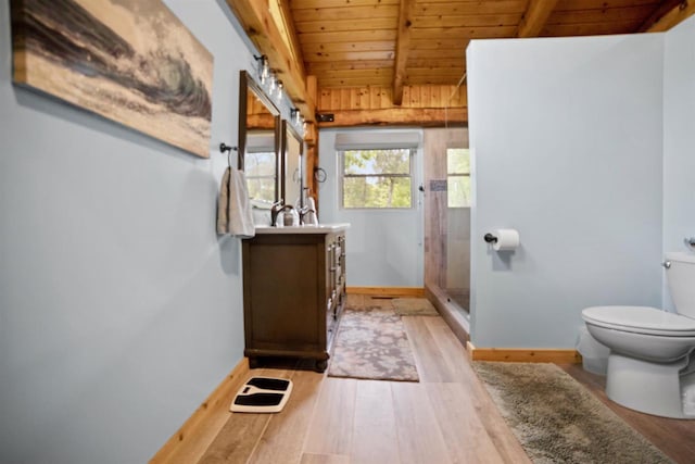 29774 Whispering Pines Rd, Lone Rock, WI 53556 - full bath with wooden ceiling, toilet, vanity, wood finished floors, and a stall shower