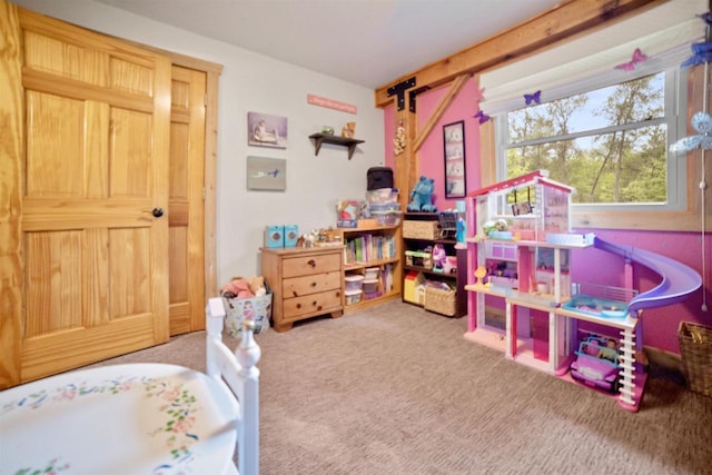 29774 Whispering Pines Rd, Lone Rock, WI 53556 - rec room with carpet floors