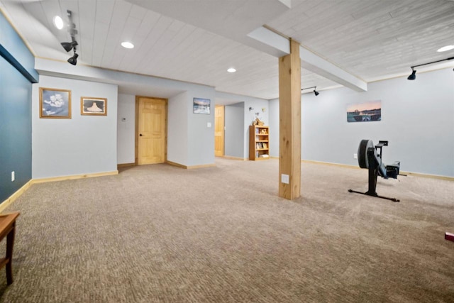 29774 Whispering Pines Rd, Lone Rock, WI 53556 - finished below grade area with carpet, baseboards, track lighting, recessed lighting, and wooden ceiling