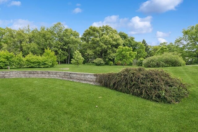 W522 Highland Rd, Genoa City, WI 53128 - view of green lawn