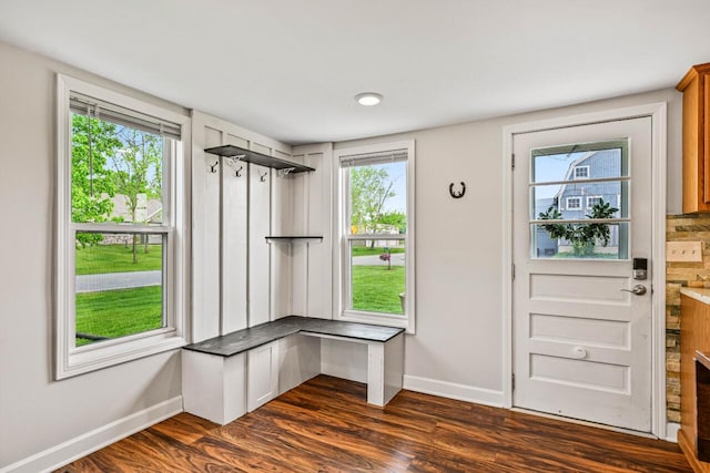 24324 W Overson Rd, Union Grove, WI 53182 - foyer entrance with baseboards and dark wood finished floors