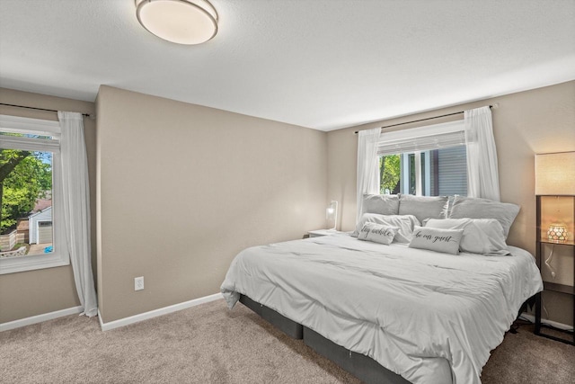 915 E Ohio Ave, Milwaukee, WI 53207 - bedroom featuring carpet floors, multiple windows, and baseboards