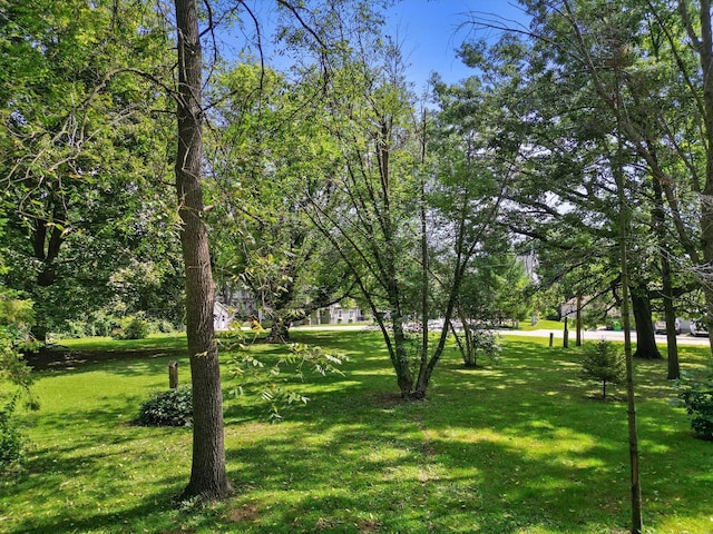 4816 Riverside Rd, Waterford, WI 53185 - view of green lawn