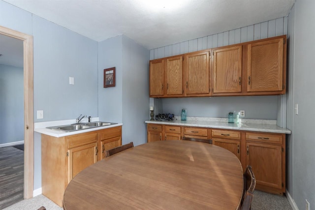 N1416 W Stratton Rd, Waupaca, WI 54981 - kitchen with a sink, light countertops, and carpet