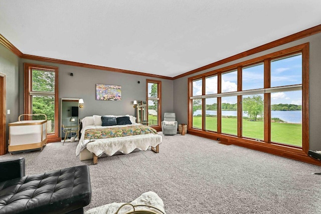 S82W15980 Bass Bay Ln, Muskego, WI 53150 - bedroom with a water view, crown molding, carpet floors, and baseboards