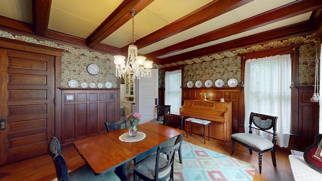300 S Vine Ave, Marshfield, WI 54449 - dining area featuring wallpapered walls, wood finished floors, a chandelier, beam ceiling, and a wainscoted wall