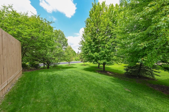 N66W13568 Crestwood Dr, Menomonee Falls, WI 53051 - view of green lawn
