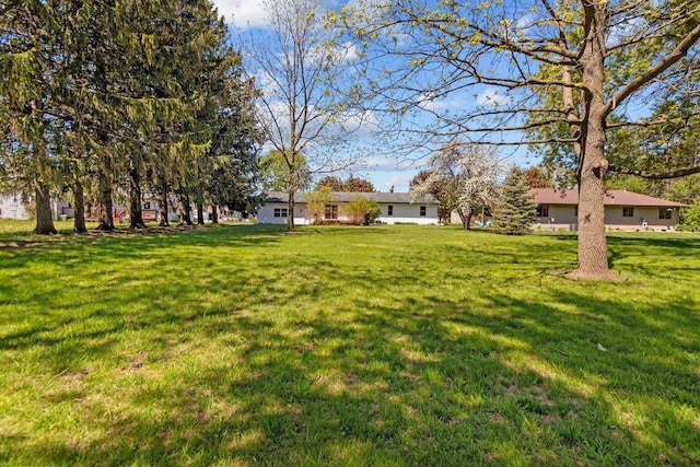 2225 Paul Rd, Manitowoc, WI 54220 - view of green lawn