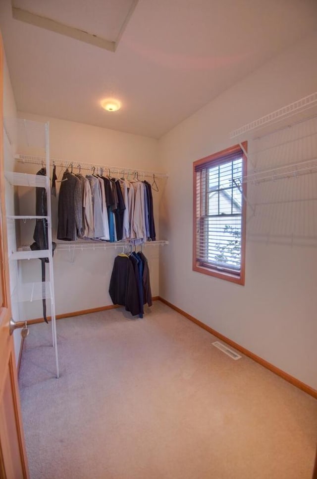 1835 Alpine Pl, Onalaska, WI 54650 - walk in closet featuring carpet