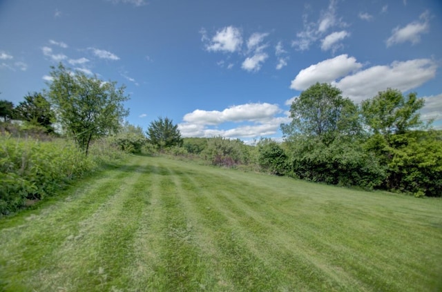 1835 Alpine Pl, Onalaska, WI 54650 - view of green lawn