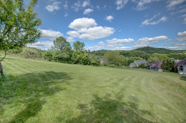 1835 Alpine Pl, Onalaska, WI 54650 - view of grassy yard