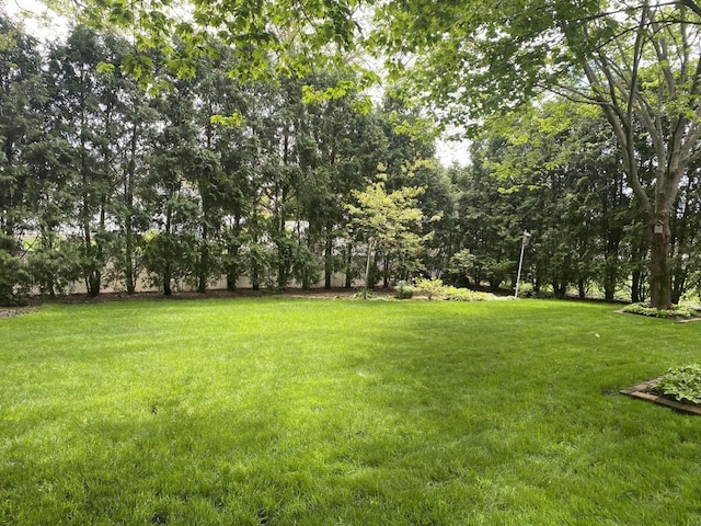 1430 Sherwood Ct, Wisconsin Rapids, WI 54494 - view of green lawn