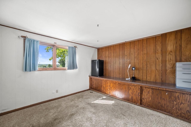 1104 Cavalier Dr, Waukesha, WI 53186 - carpeted empty room featuring baseboards and wooden walls
