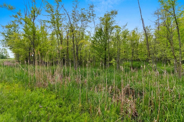 Two Creek Rd, Bonduel, WI 54107