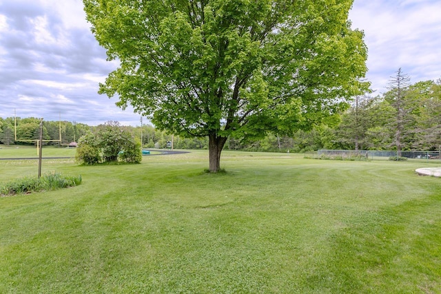 419 E Beech St, Edgar, WI 54426 - view of yard with view of wooded area