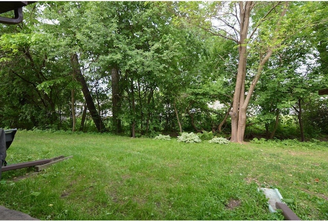1010 N Sunnyvale Ln Unit B, Madison, WI 53713 - view of yard