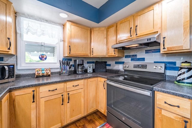 201 N 3rd St, Colby, WI 54421 - kitchen featuring appliances with stainless steel finishes, under cabinet range hood, decorative backsplash, and dark countertops