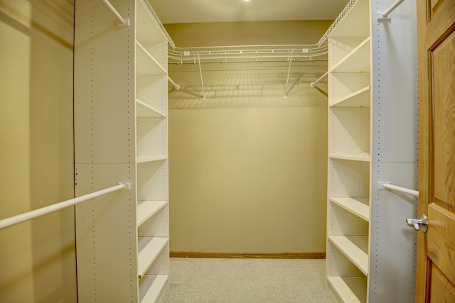 508 Frost Woods Rd, Monona, WI 53716 - walk in closet with carpet floors