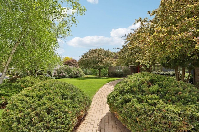 W313N4961 Chapel Ridge Rd, Hartland, WI 53029 - surrounding community featuring a lawn