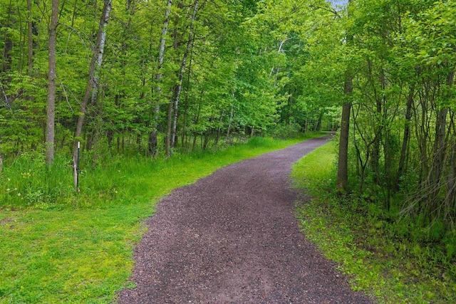 7947 Victoria Ct, Hewitt, WI 54441 - view of road featuring a view of trees