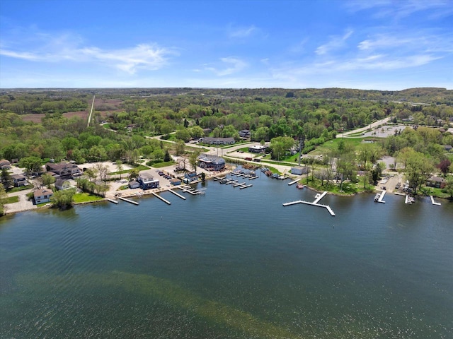 W278N2381 Prospect Ave, Pewaukee, WI 53072 - bird's eye view of a forest, a large body of water, and numerous boat docks