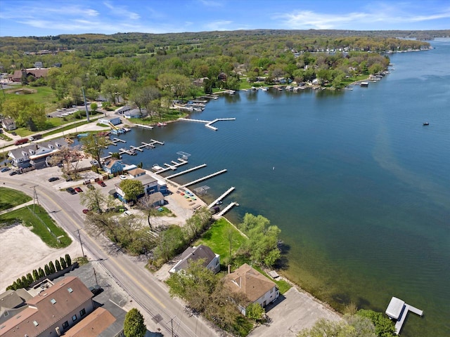 W278N2381 Prospect Ave, Pewaukee, WI 53072 - aerial view of a nearby body of water and a forest