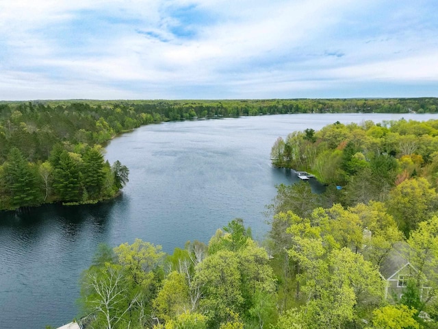 W12900 W Shore Dr, Crivitz, WI 54114 - water view with a forest