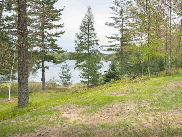 W12900 W Shore Dr, Crivitz, WI 54114 - water view with a heavily wooded area