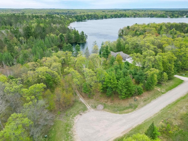 W12900 W Shore Dr, Crivitz, WI 54114 - bird's eye view of a forest and a nearby body of water