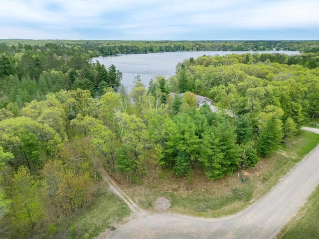 W12900 W Shore Dr, Crivitz, WI 54114 - drone / aerial view of a forest and a nearby body of water