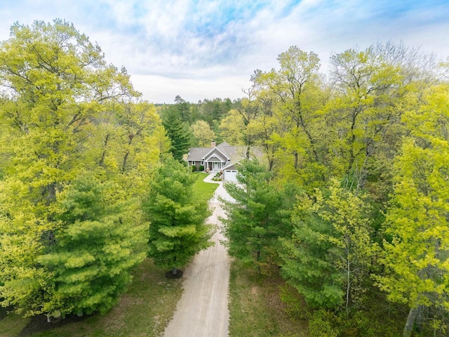 W12900 W Shore Dr, Crivitz, WI 54114 - view from above of property featuring a forest