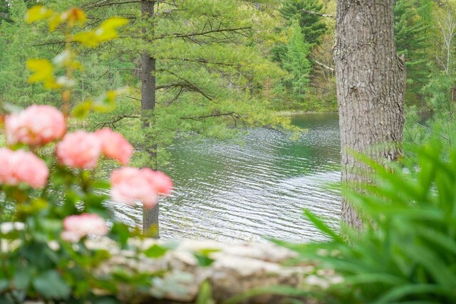 W12900 W Shore Dr, Crivitz, WI 54114 - water view featuring a forest