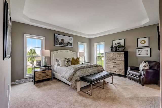 1626 Belmont Ln Unit 27, Oconomowoc, WI 53066 - bedroom featuring a tray ceiling, light carpet, and multiple windows
