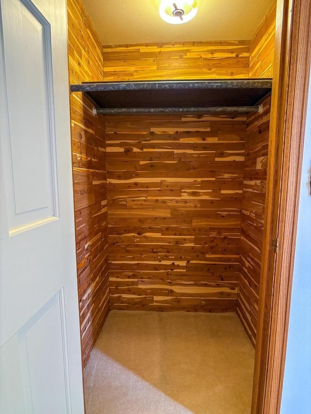 315 Lampert St, Oshkosh, WI 54901 - walk in closet with carpet flooring