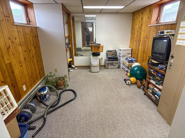 315 Lampert St, Oshkosh, WI 54901 - below grade area featuring carpet floors, wooden walls, a paneled ceiling, and plenty of natural light